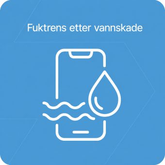 Fuktrens etter vannskade