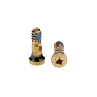 iPhone 7& 7 Plus Bottom Screw Set - Gold iPhone > iPhone 7