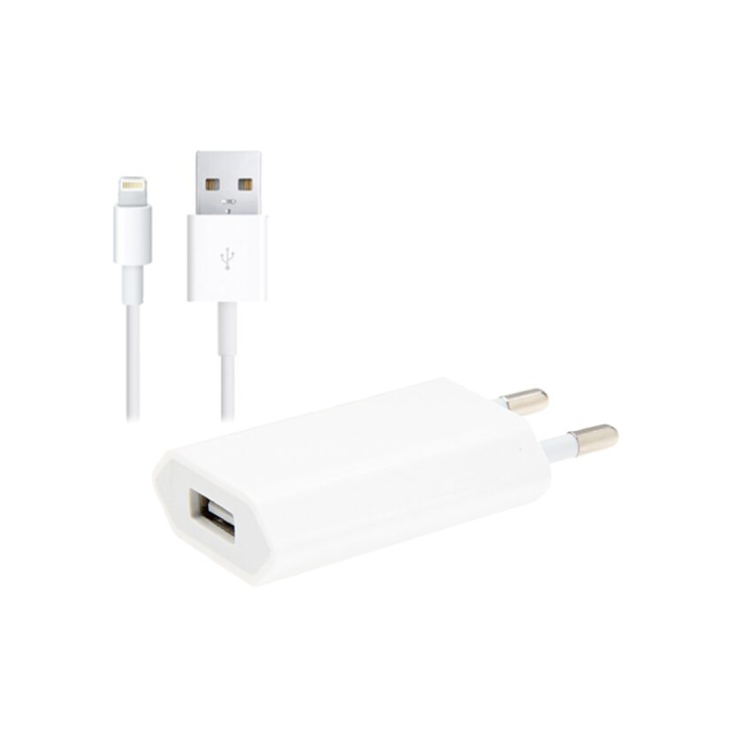 Standard ladepakke Lightning kabel (1m) + 220V adapter